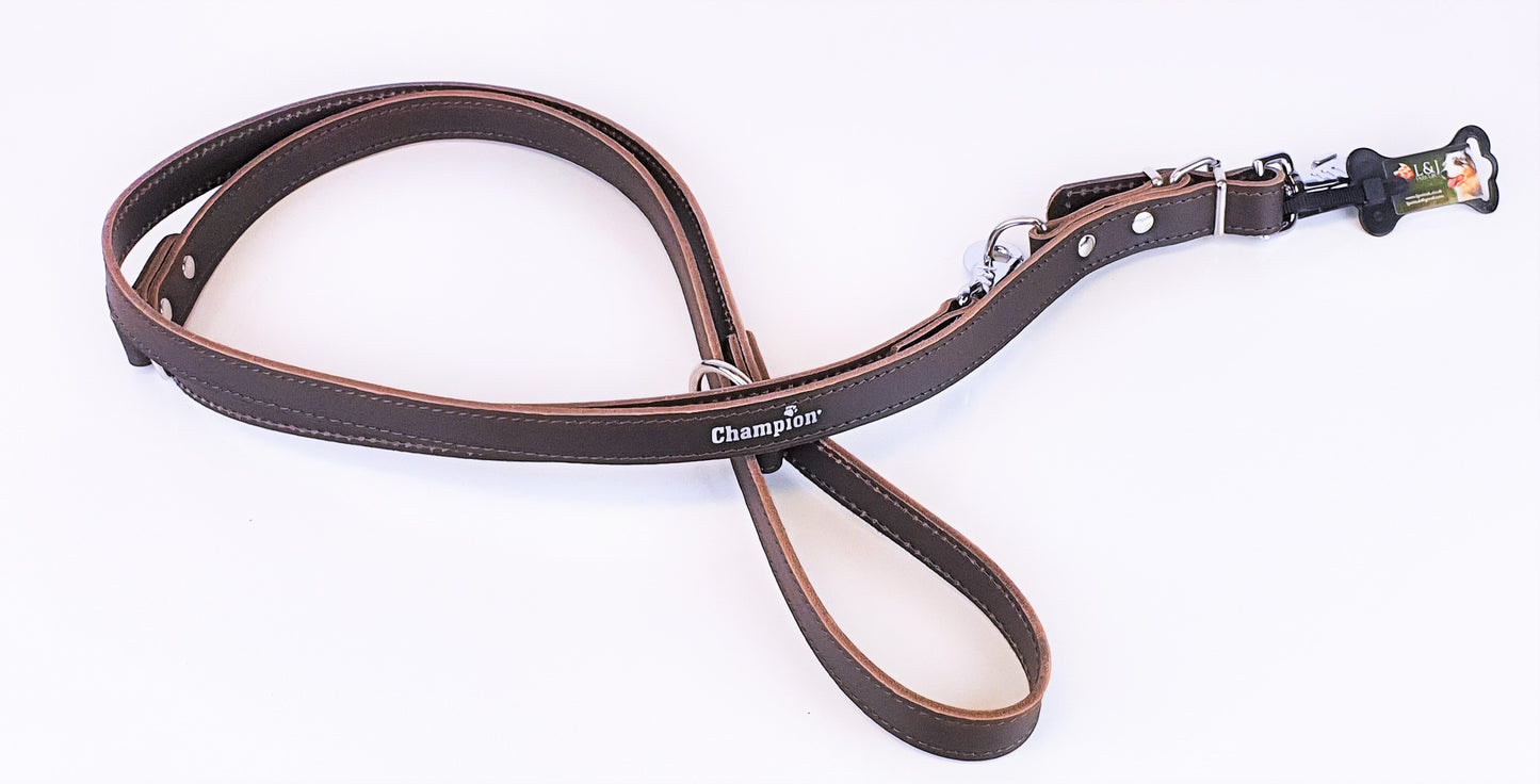 leather dog lead