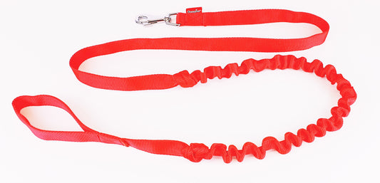 plaited nylon dog lead