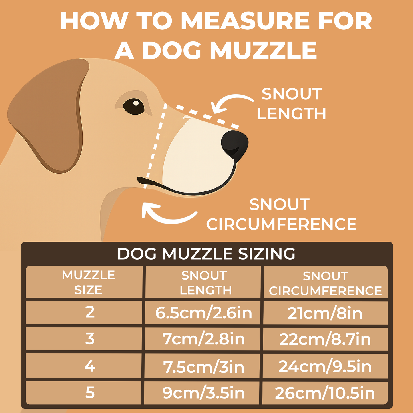 Lightweight Leather Dog Muzzle for Continental Toy Spaniel Papillon & similar snouts