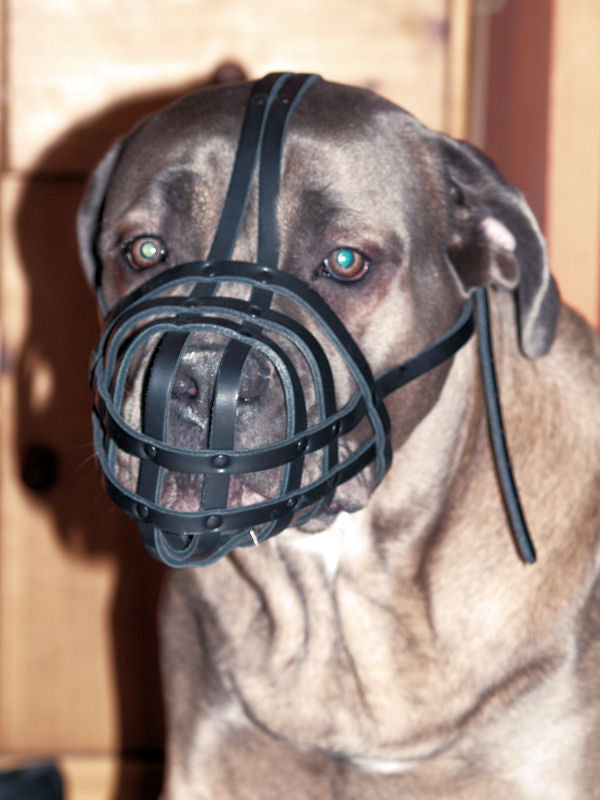 leather dog muzzle