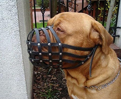 leather dog muzzle