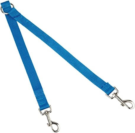 nylon dog lead