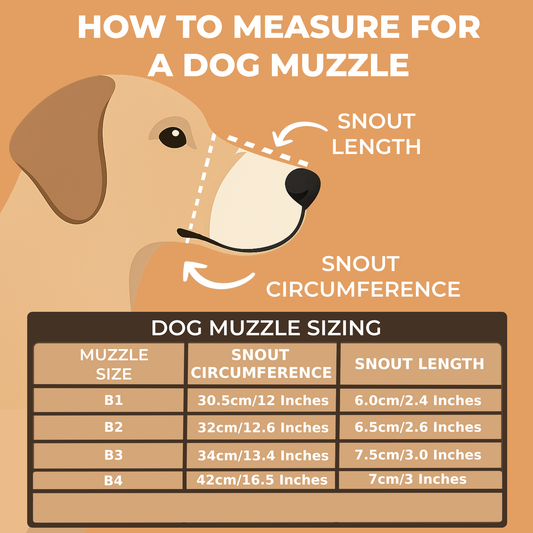 Lightweight Leather Dog Muzzle for Boxer and Similar Short Snouted Dogs | Real Leather Dog Muzzle
