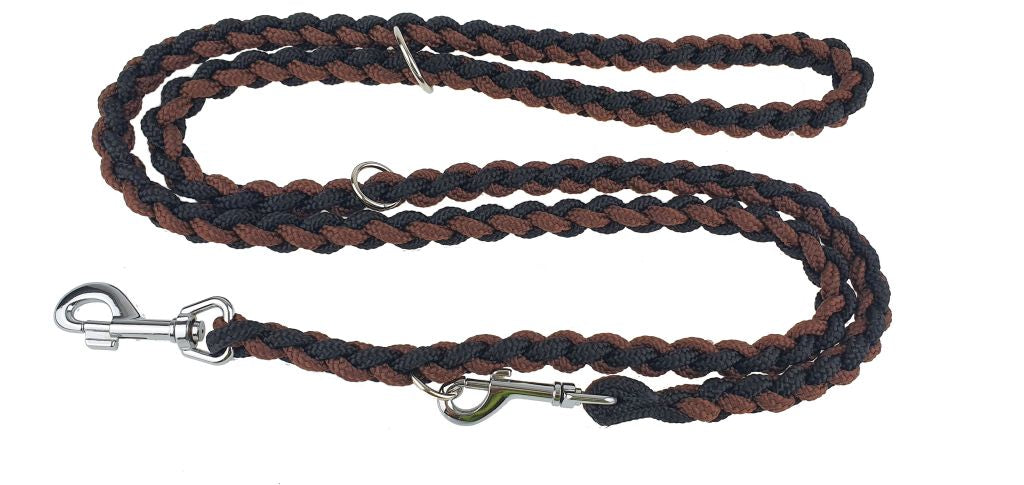 plaited dog lead