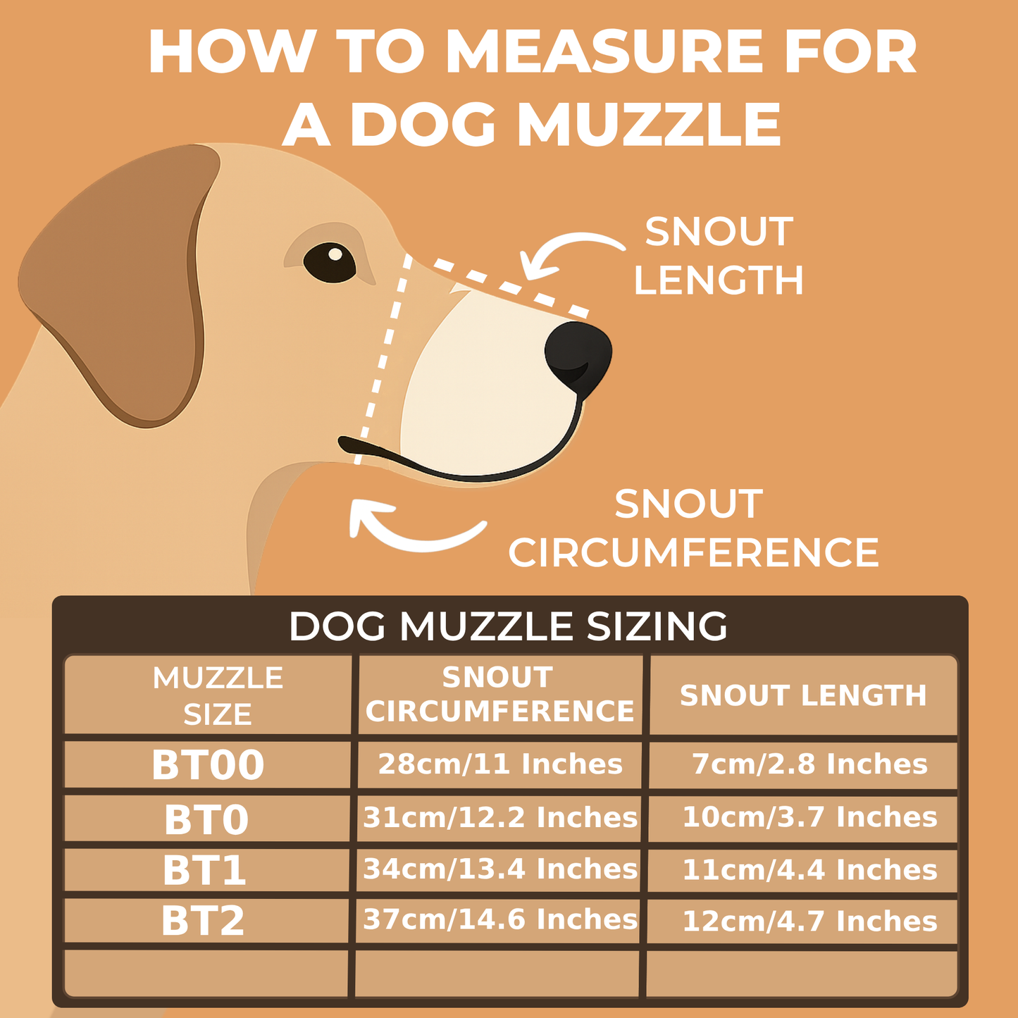 Lightweight Leather Dog Muzzle for English Bull Terrier and other similar snout