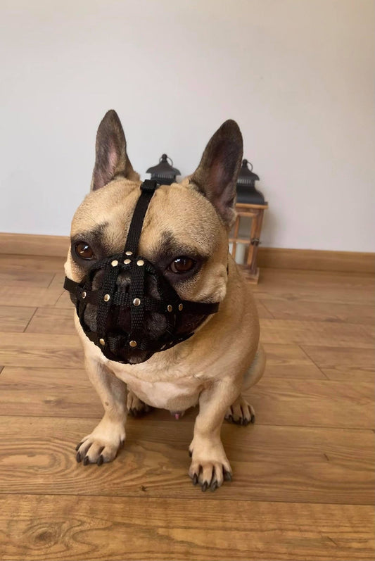 nylon dog muzzle