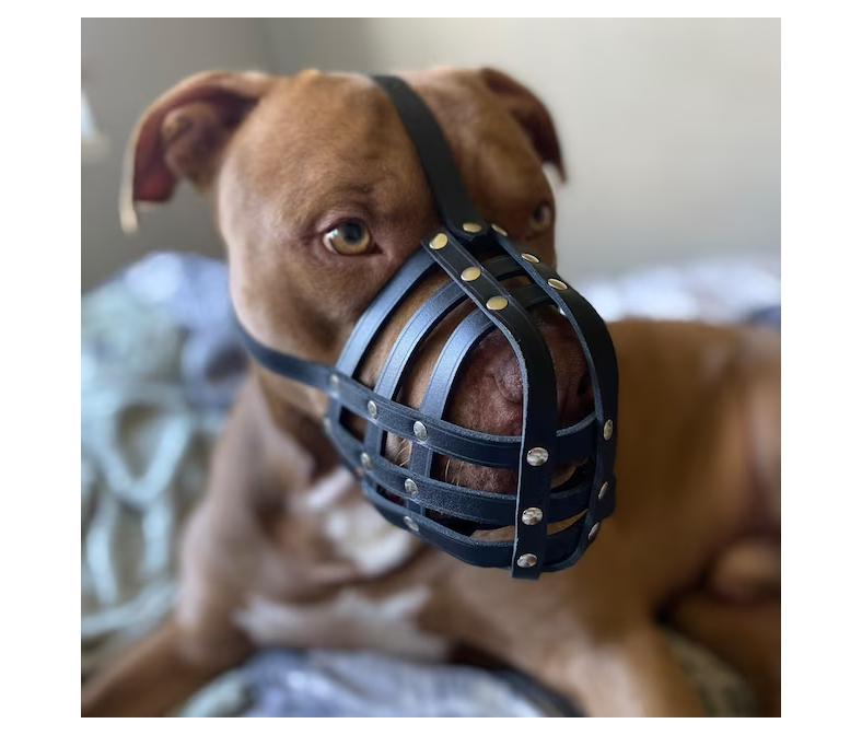 leather dog muzzle