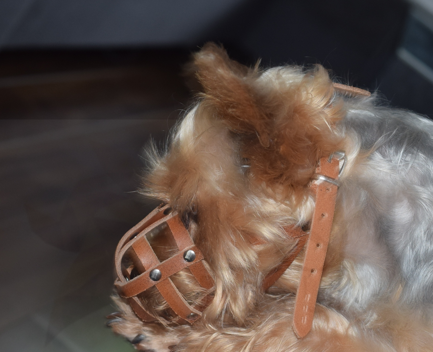 leather dog muzzle