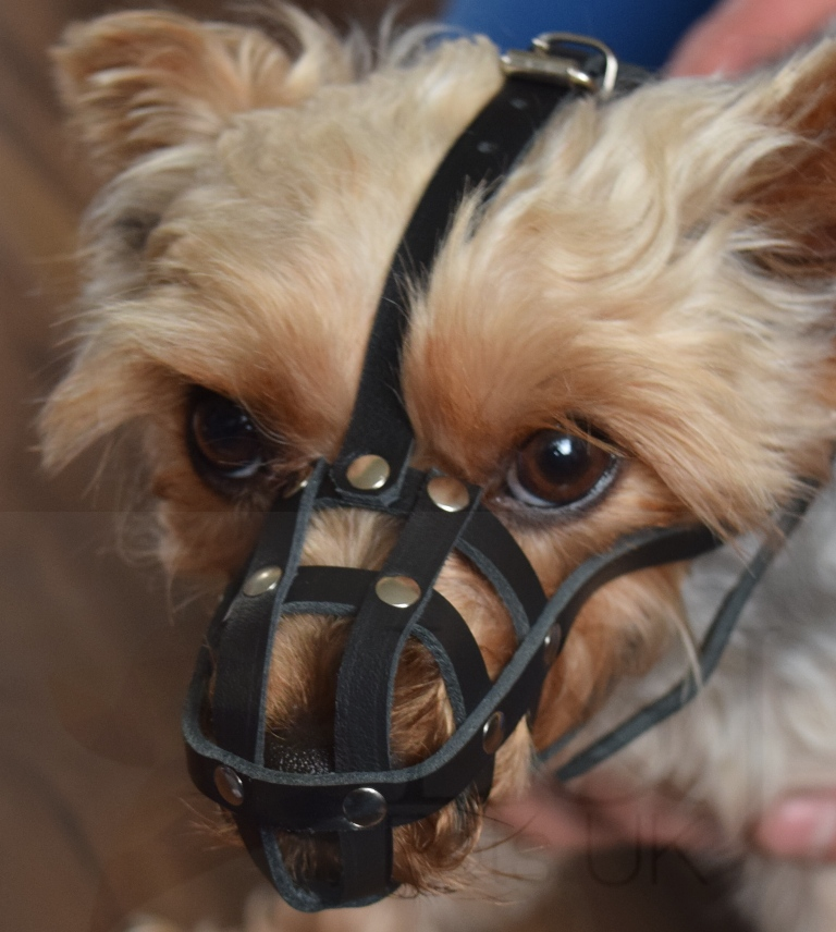 leather dog muzzle