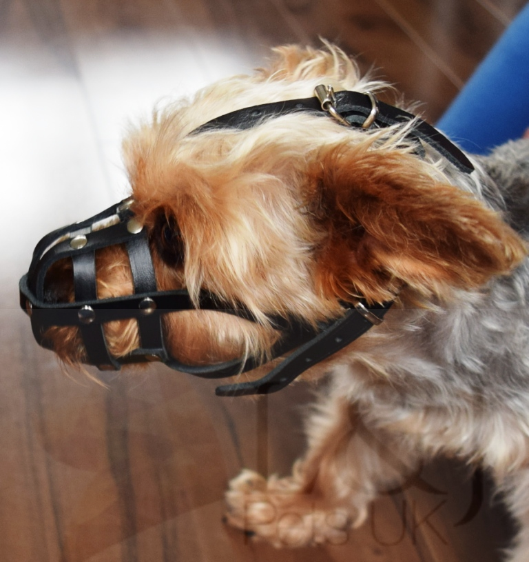 leather dog muzzle