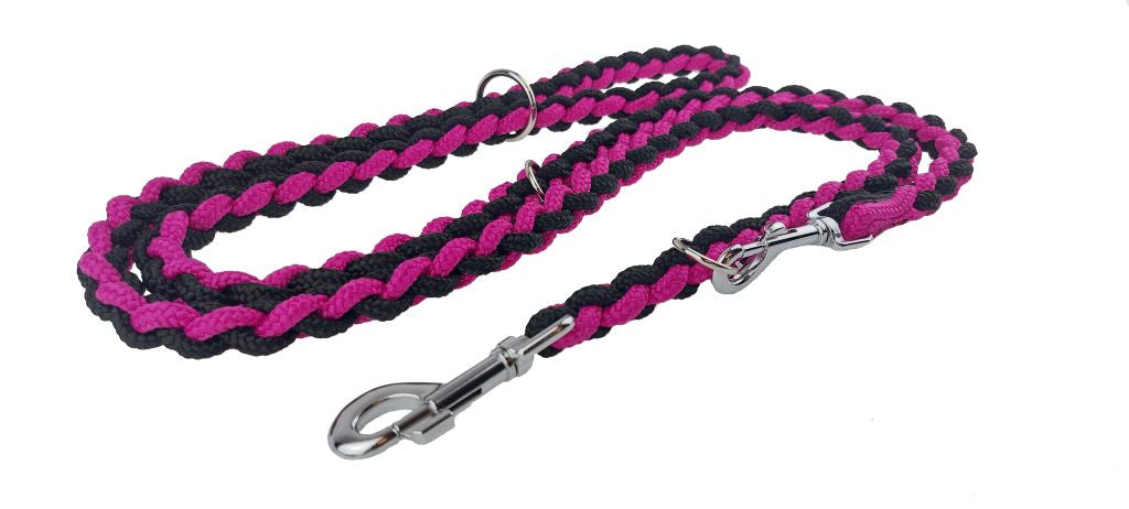 plaited dog lead