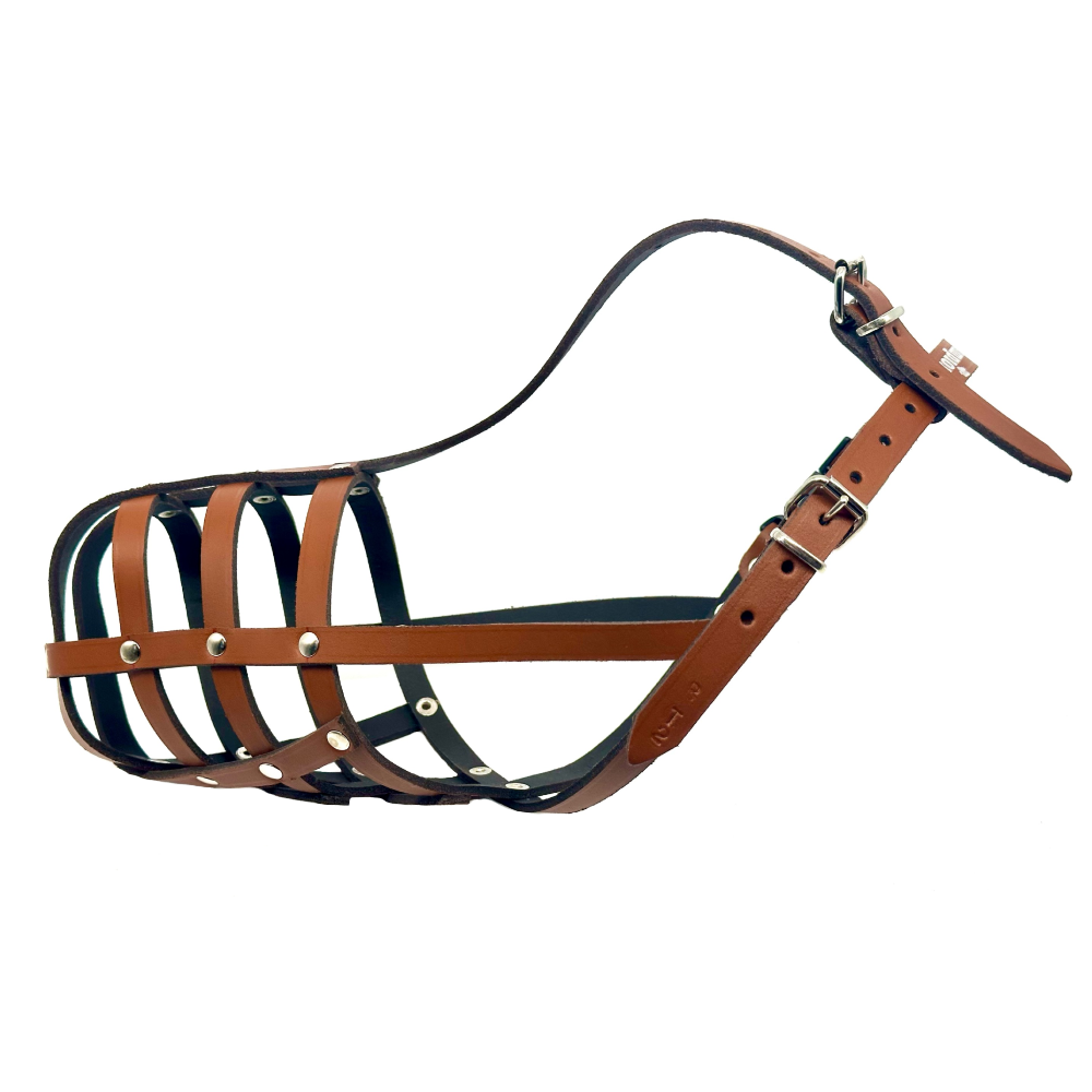leather dog muzzle