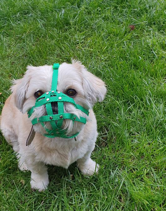 nylon dog muzzle