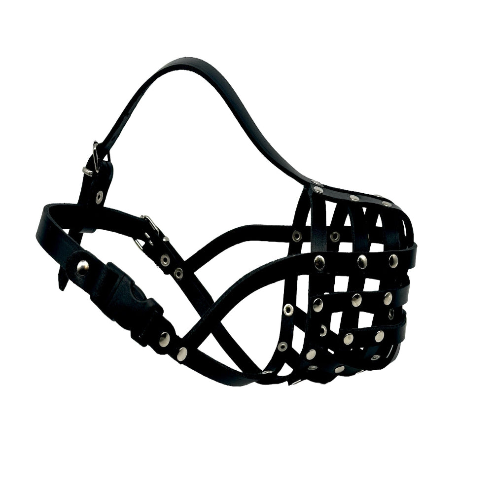 leather dog muzzle