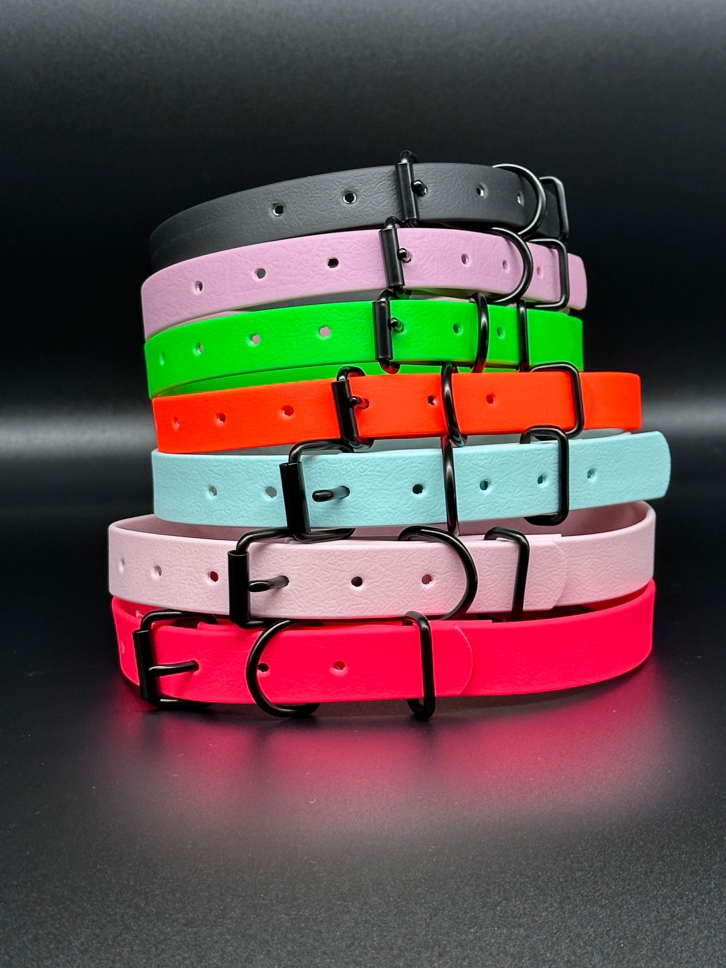 biothane dog collar