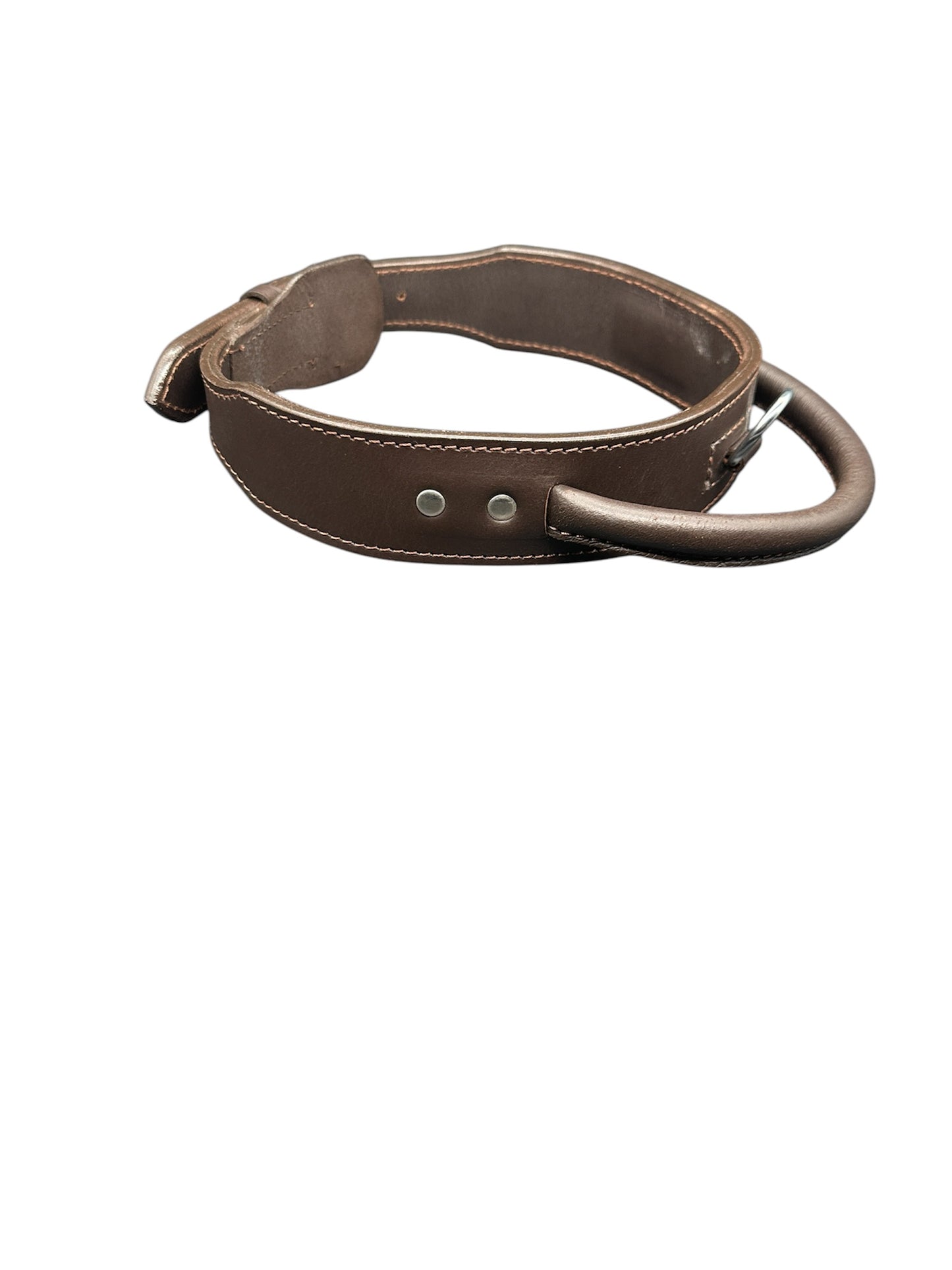 leather dog collar