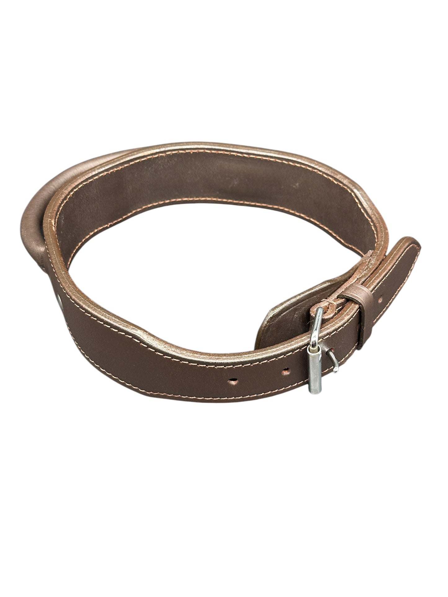 leather dog collar