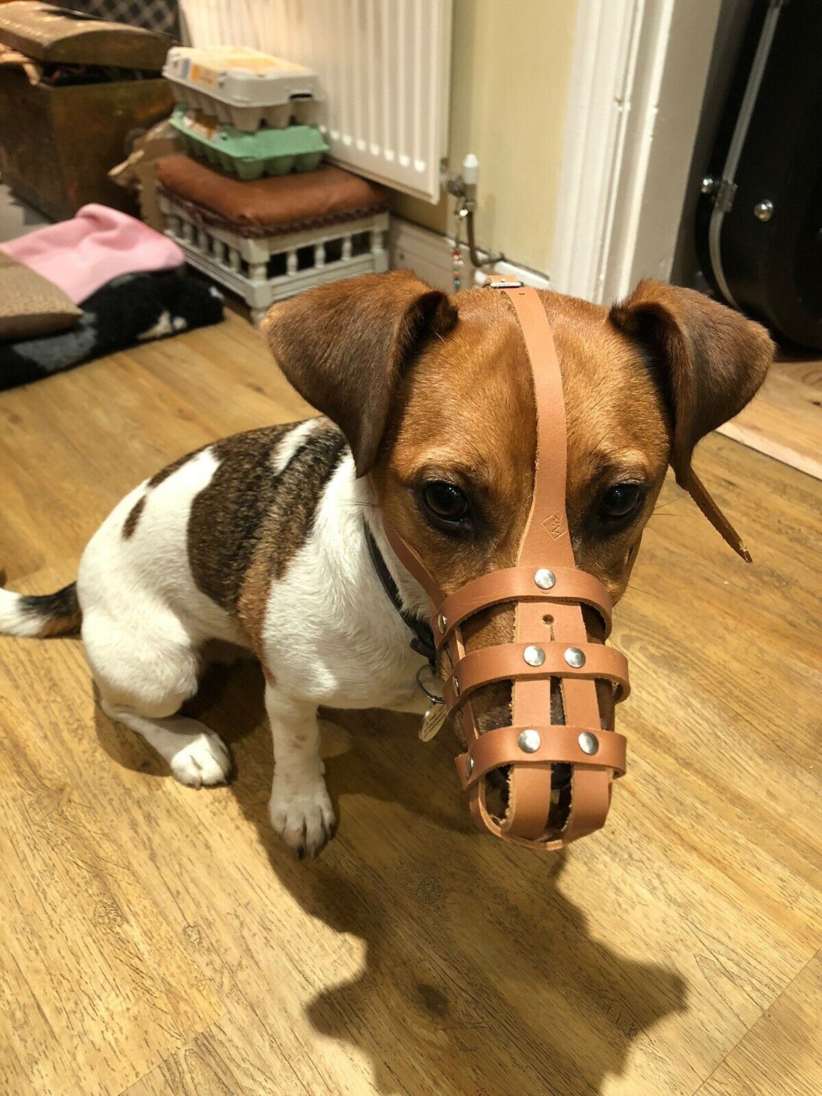leather dog lead