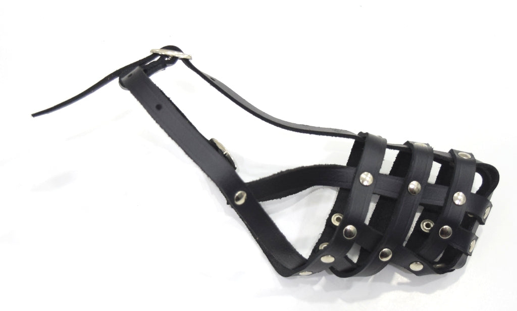 leather dog lead