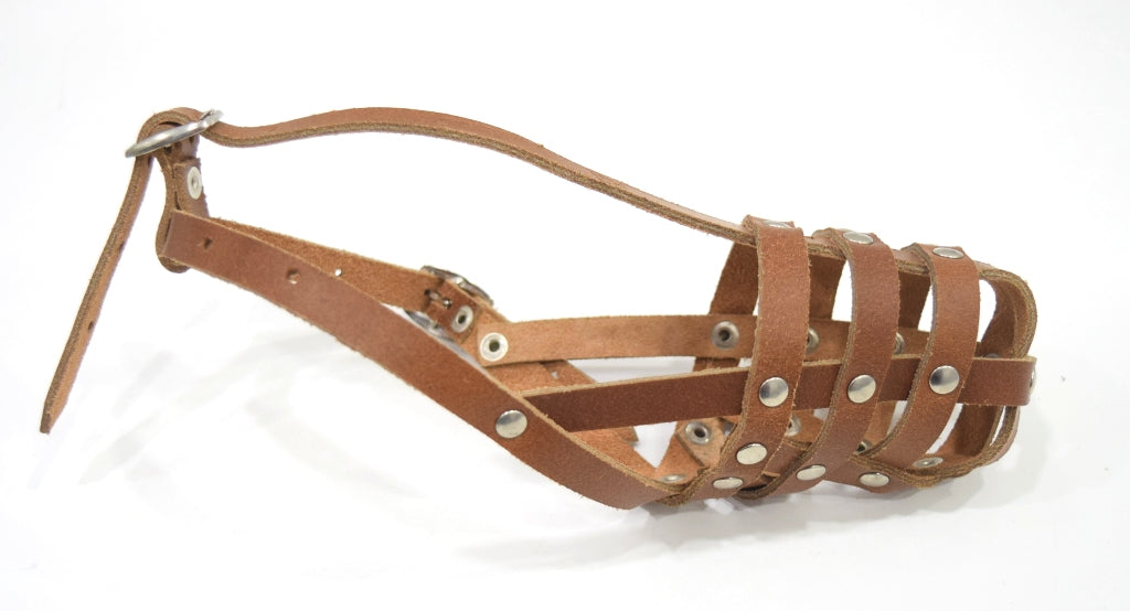leather dog lead