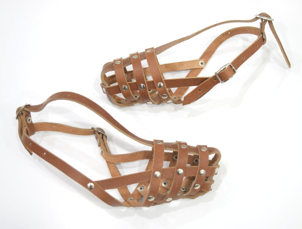 leather dog lead