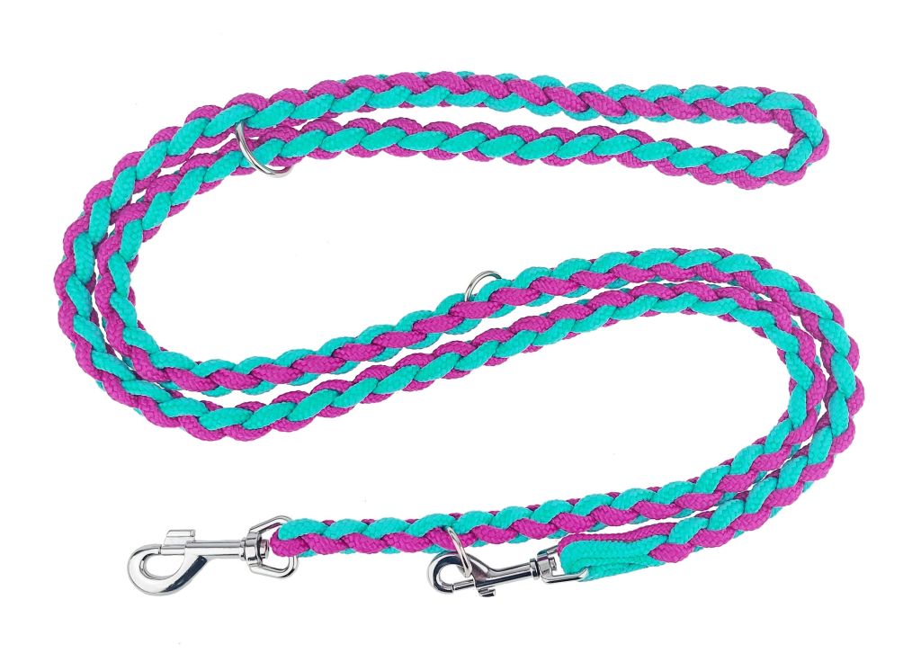 plaited dog lead