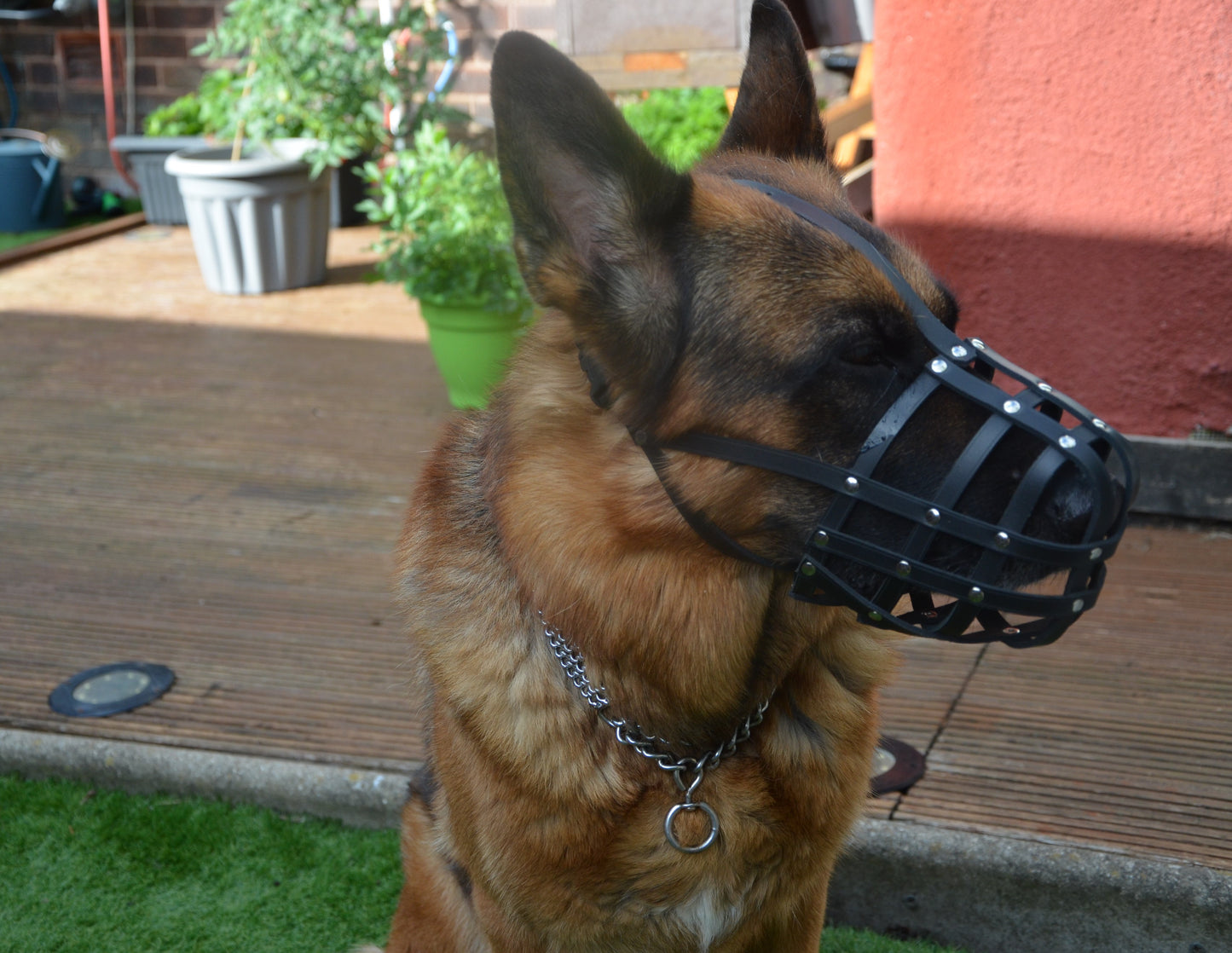 leather dog muzzle
