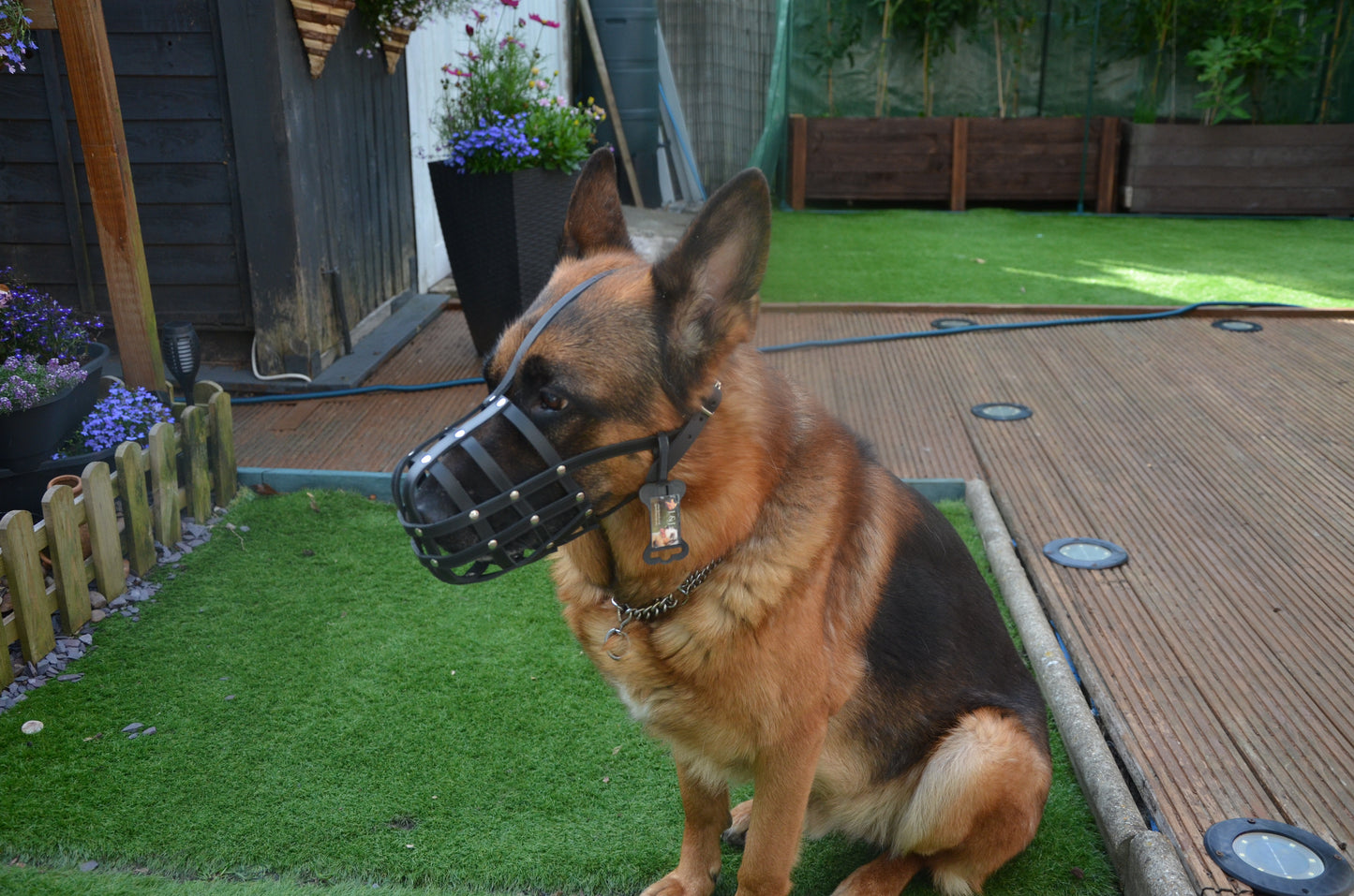 leather dog muzzle