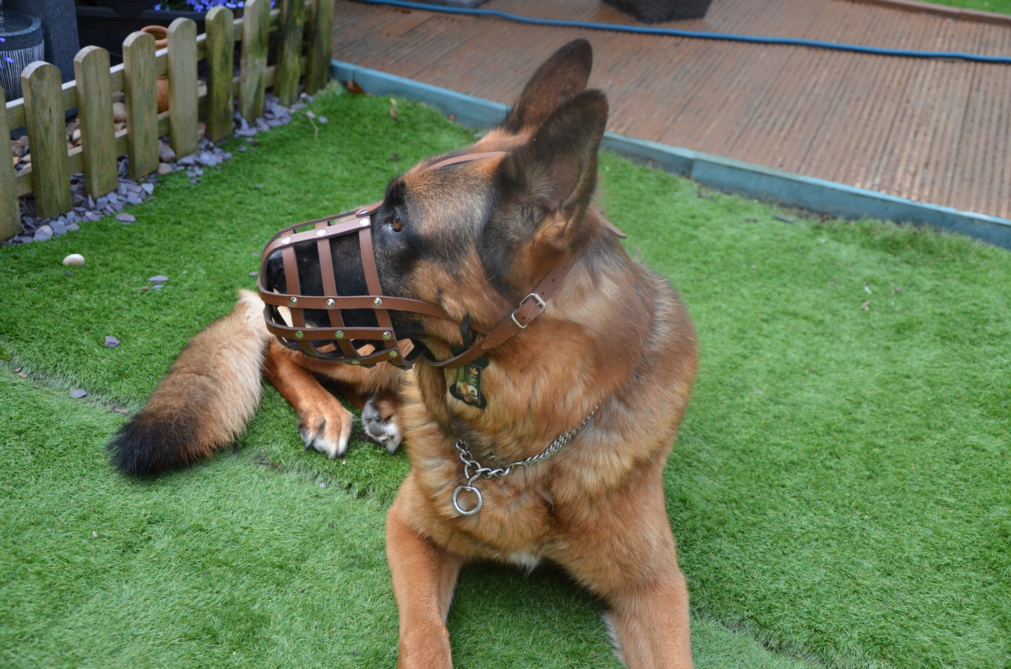 leather dog muzzle