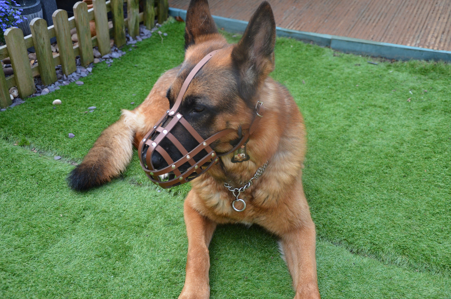 leather dog muzzle