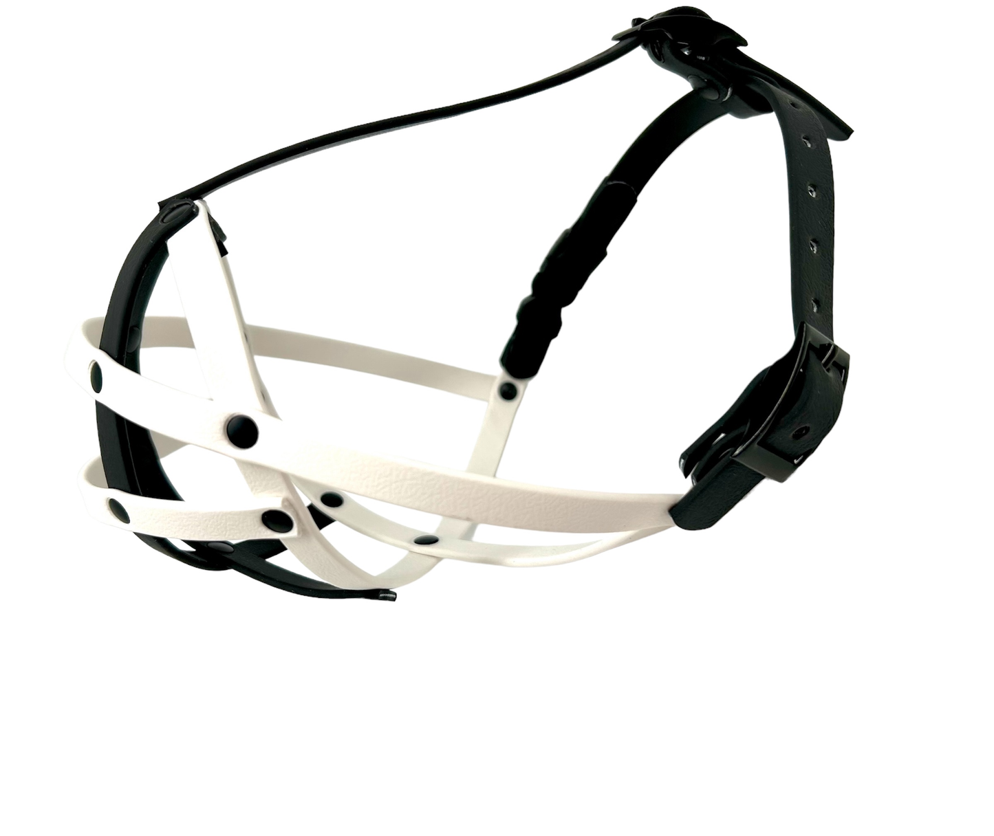 biothane dog muzzle