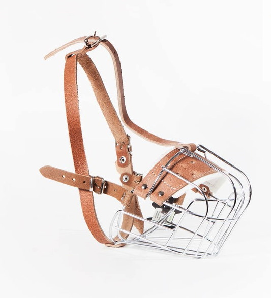 metal dog muzzle