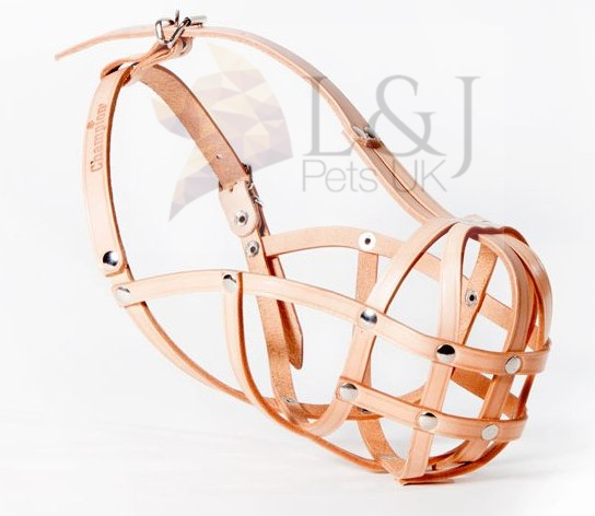 leather dog muzzle