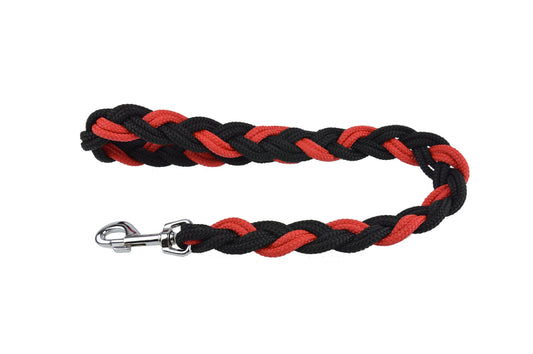 plaited dog lead