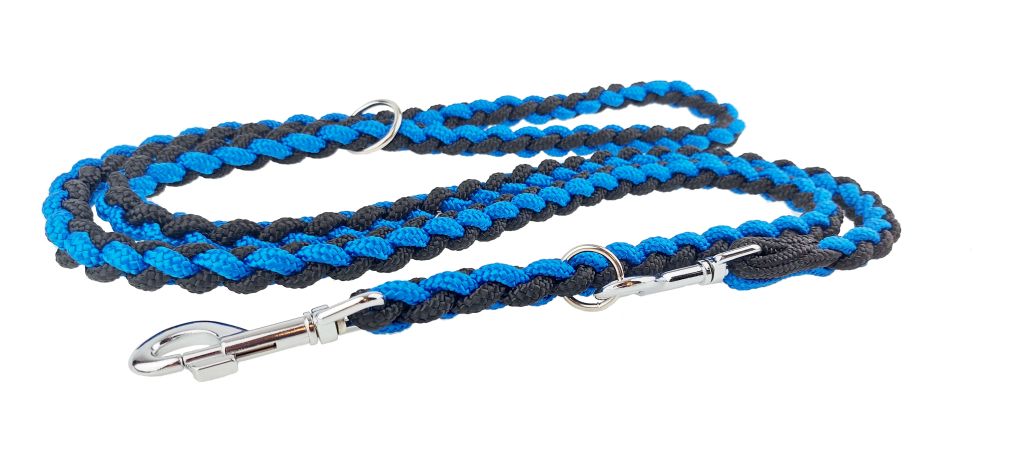 plaited dog lead