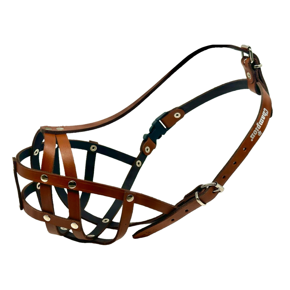 leather dog muzzle