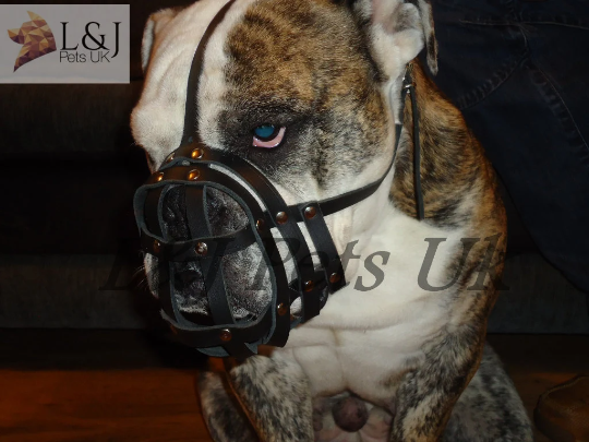leather dog muzzle