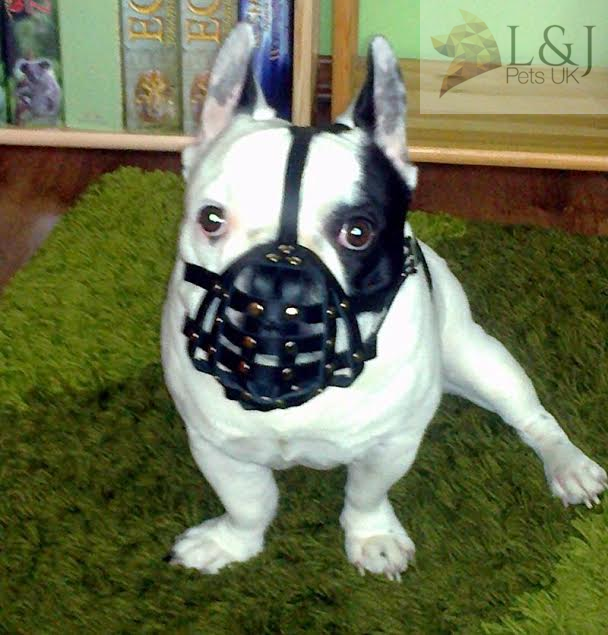leather dog muzzle