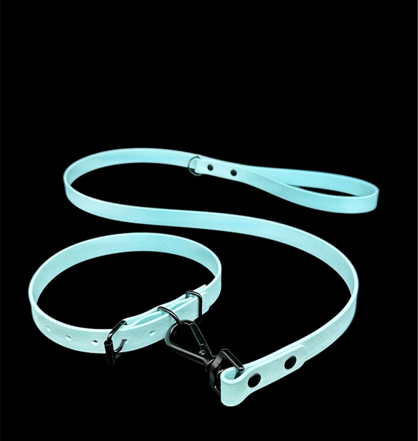 Mint collar and lead set