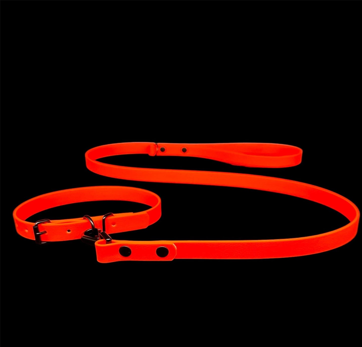 Orange collar and lead set