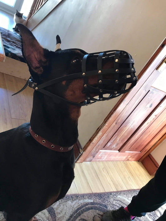 leather dog muzzle