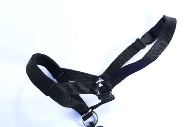 all in one head collar