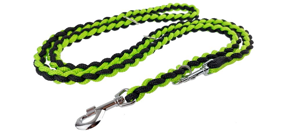 plaited dog lead