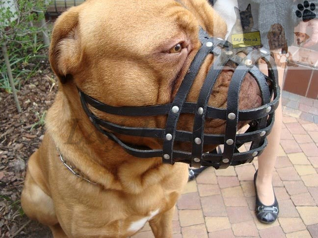 leather dog muzzle