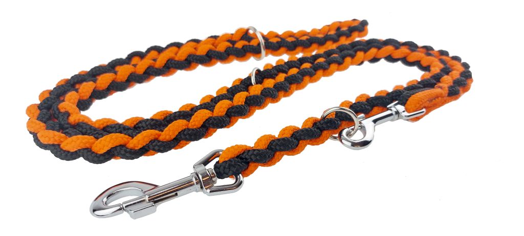 plaited dog lead