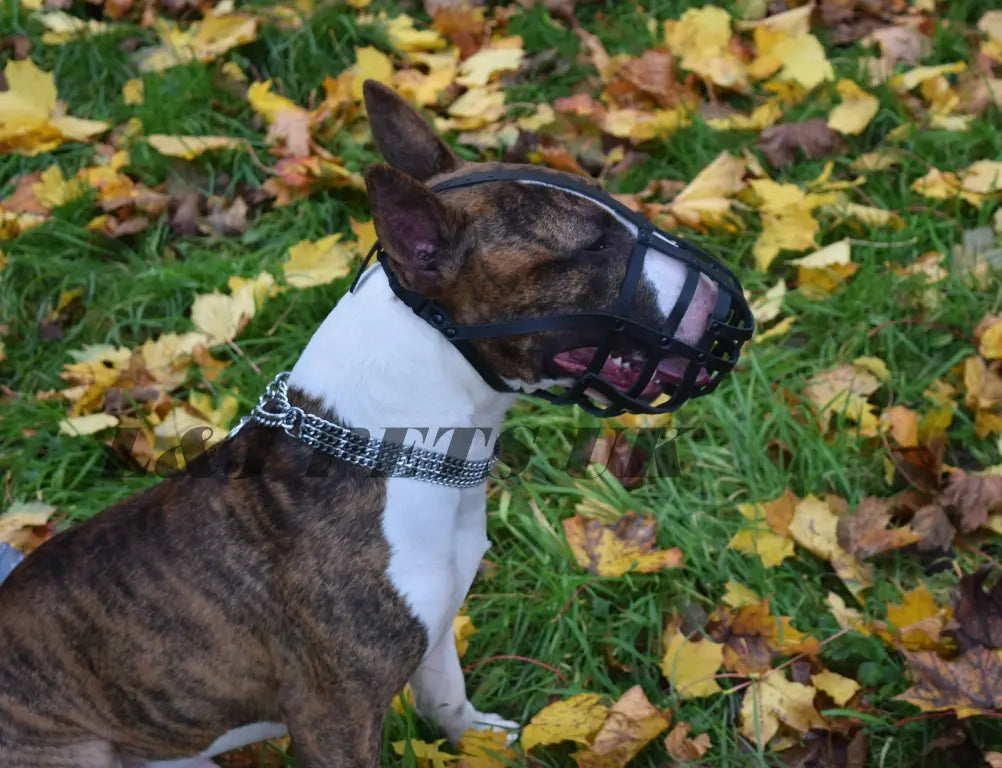 leather dog muzzle