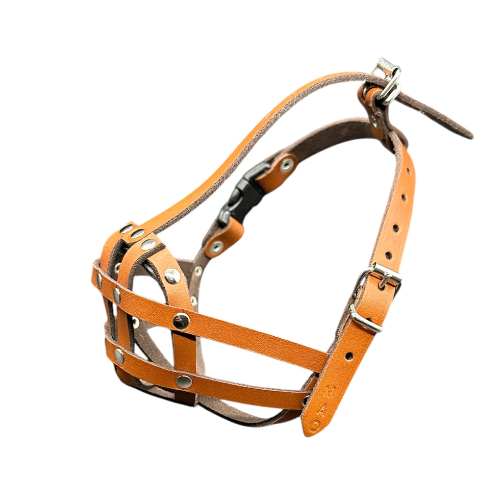 Natural Leather Dog Muzzle For Shih Tzu & Other Similar Dogs