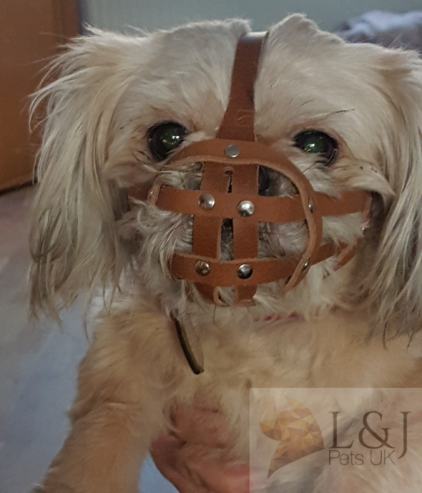 leather dog muzzle