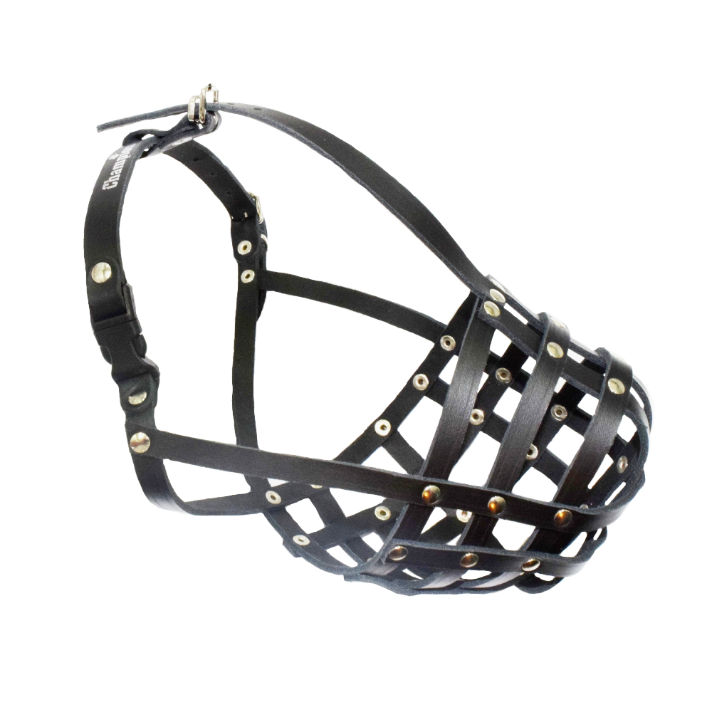 leather dog muzzle