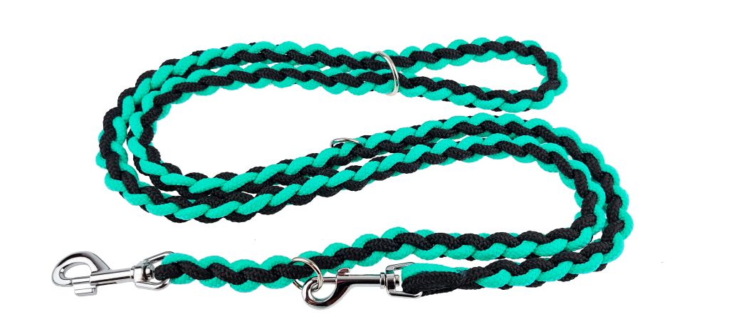 plaited dog lead